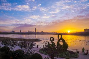 Swan Lake National Urban Wetland Park